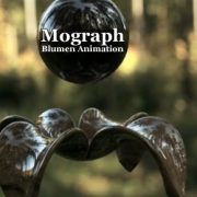 mograph blumen animation