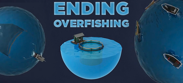 ending fishing