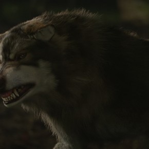 "Wolfblood 2 - Furry Creatures for the BBC" Trixter Film