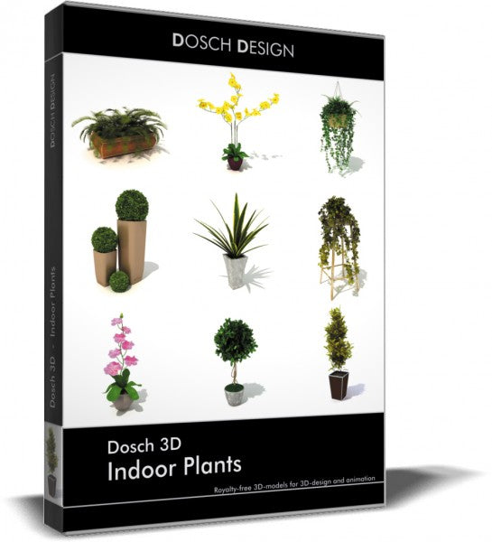 Indoor Plants