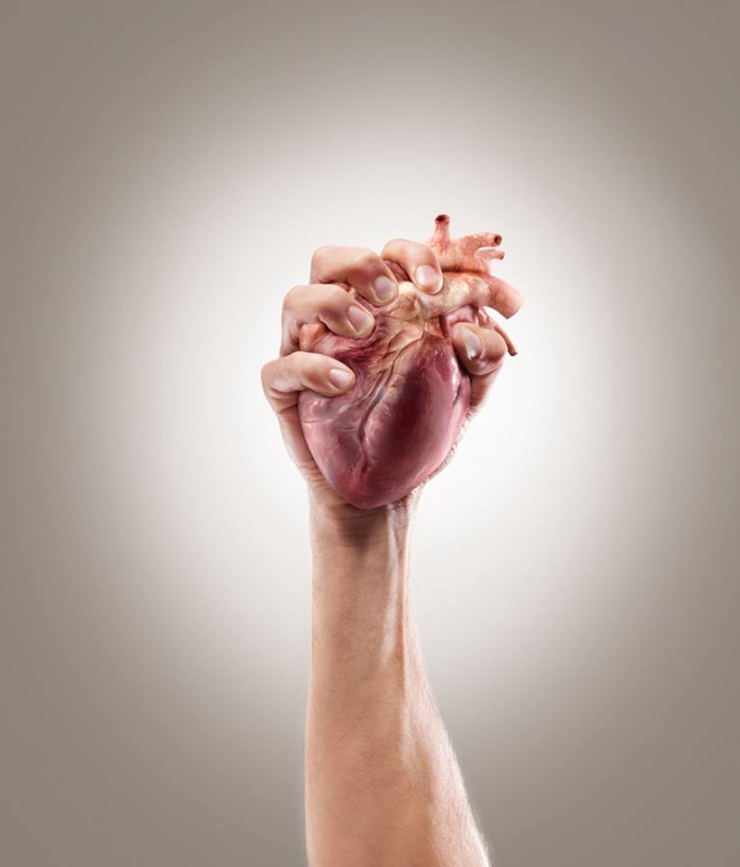 Heart Hand Rob Lucy Maxwell Render The Light Simulator