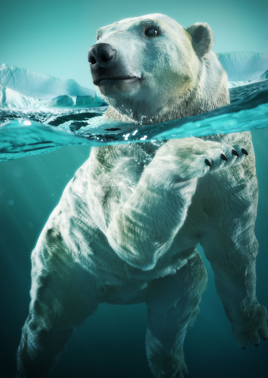 d modo photoshop polar bear notanstudio