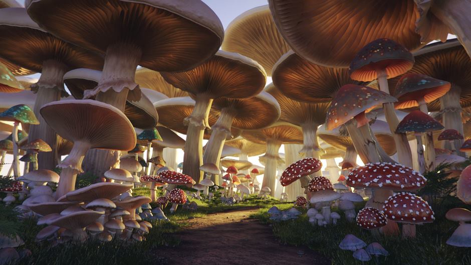 d maya mental ray after effects mushroom forest andrei serghiuta