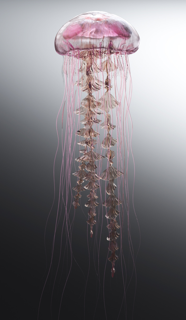 d modo photoshop zbrush portrait of a jellyfish james gardner