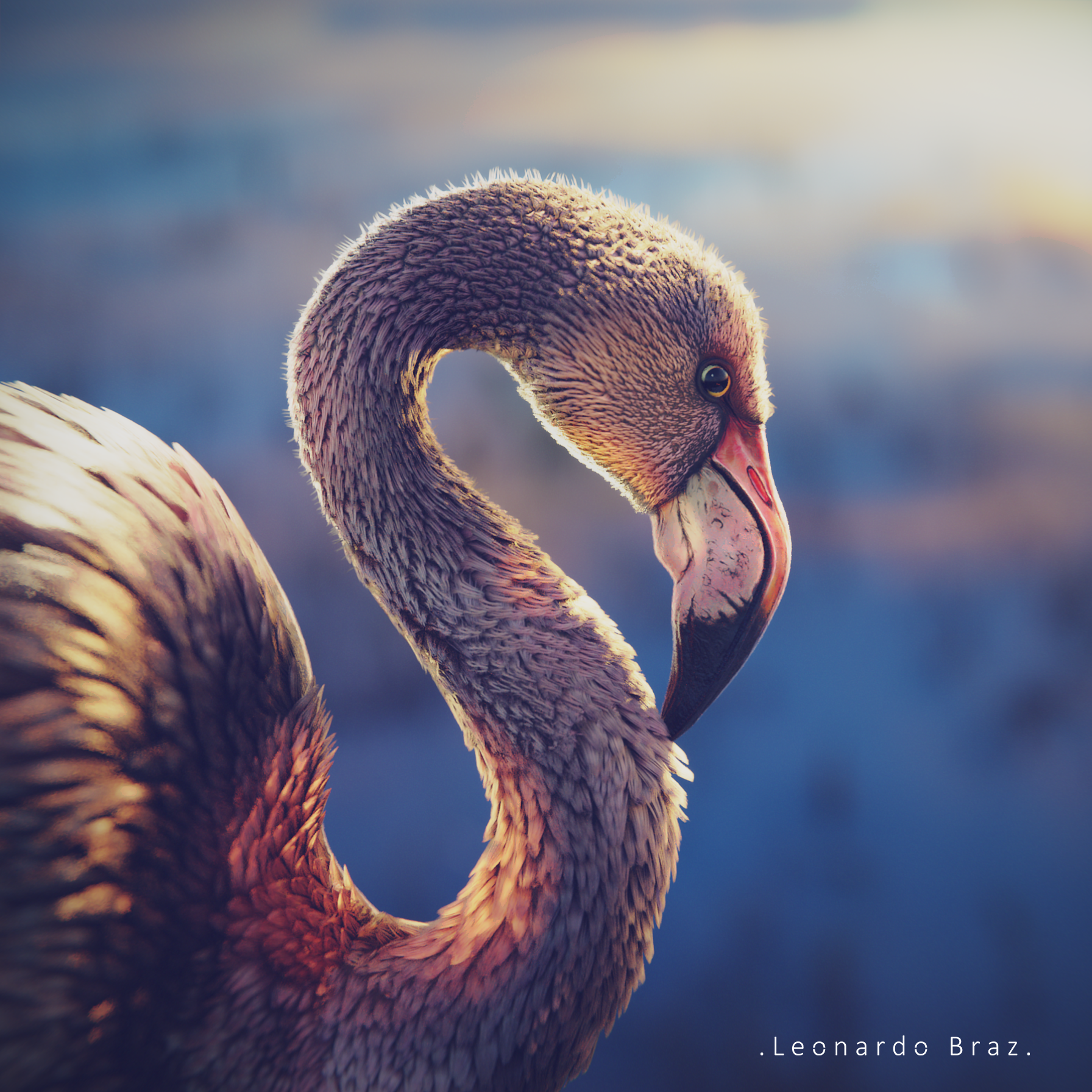 d blender Flamingo Leonardo Braz