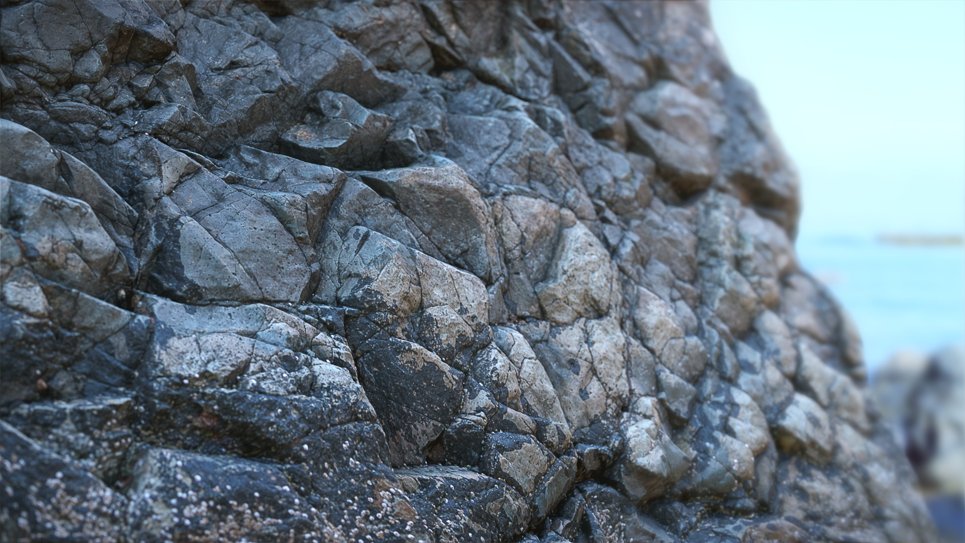 d photoshop maya zbrush substance painter renderman D Scan of a seaside rock henryoung