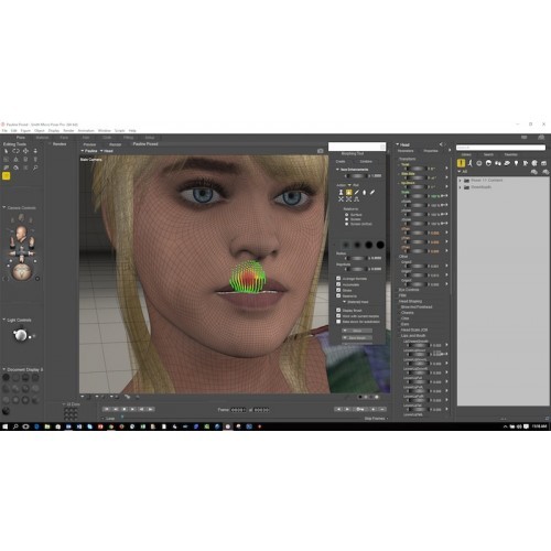 Bondware Poser Pro 13.1.449 download the new version for ipod